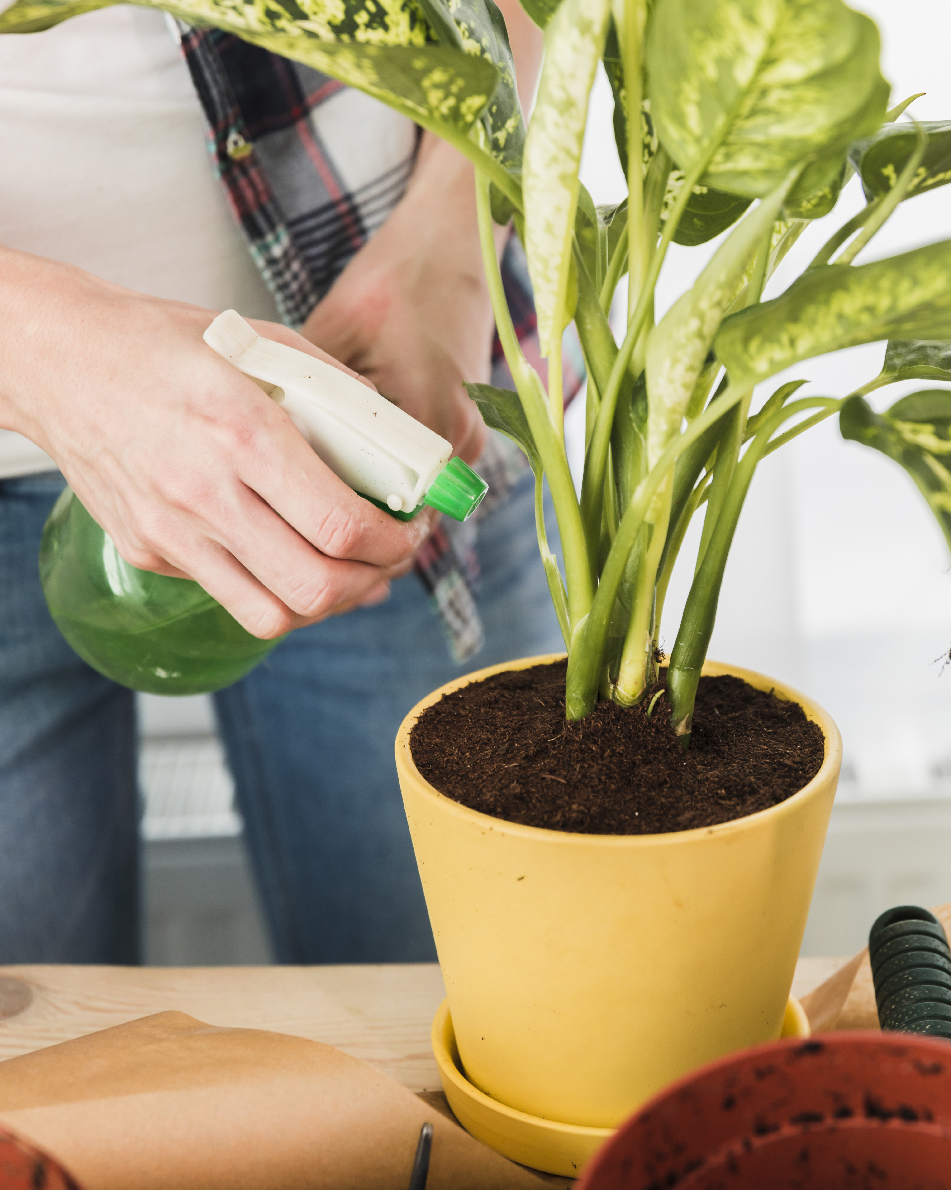 Fertilizantes