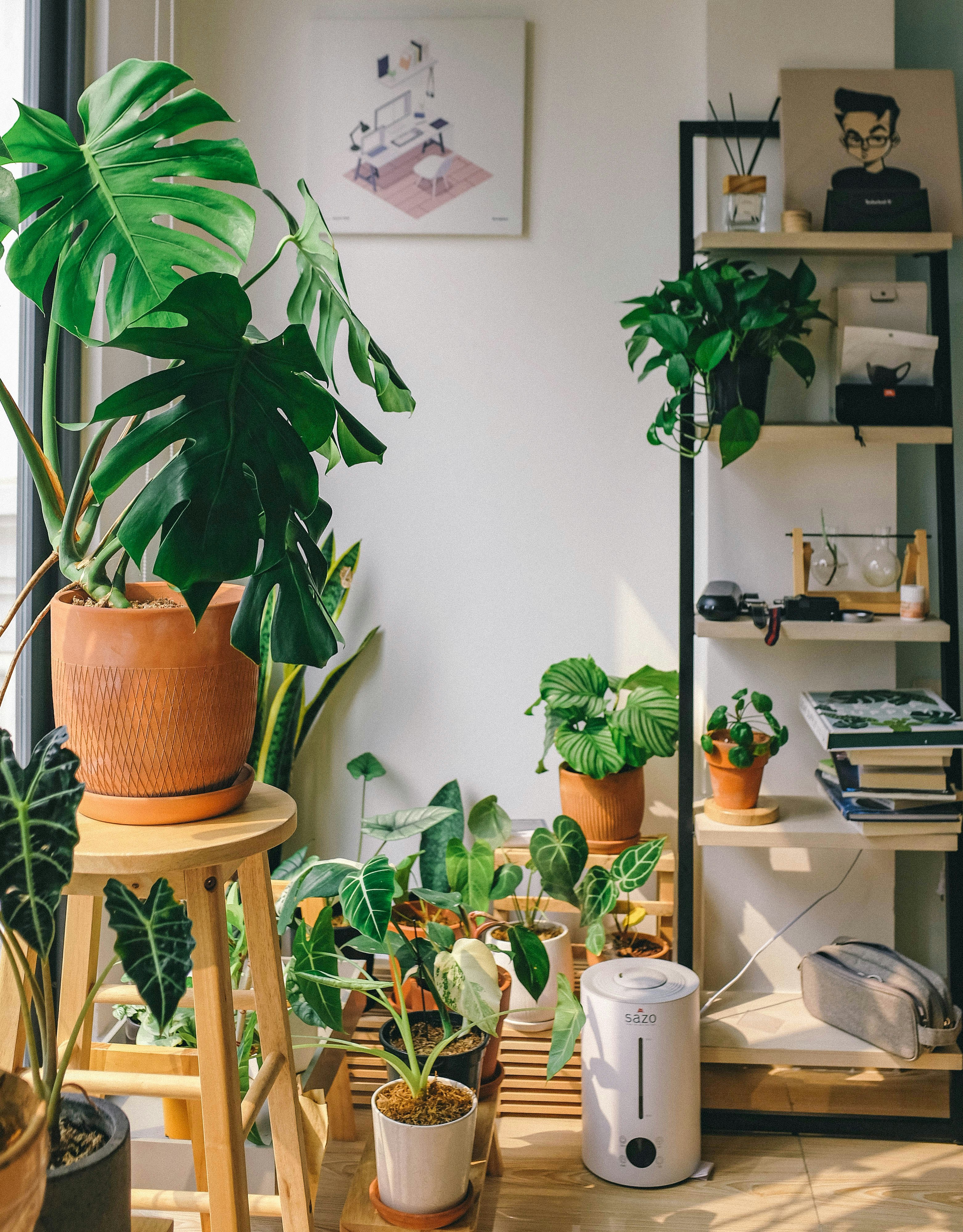 Oficina con plantas